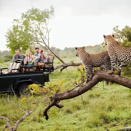 1755155625678 yala national park sri lanka